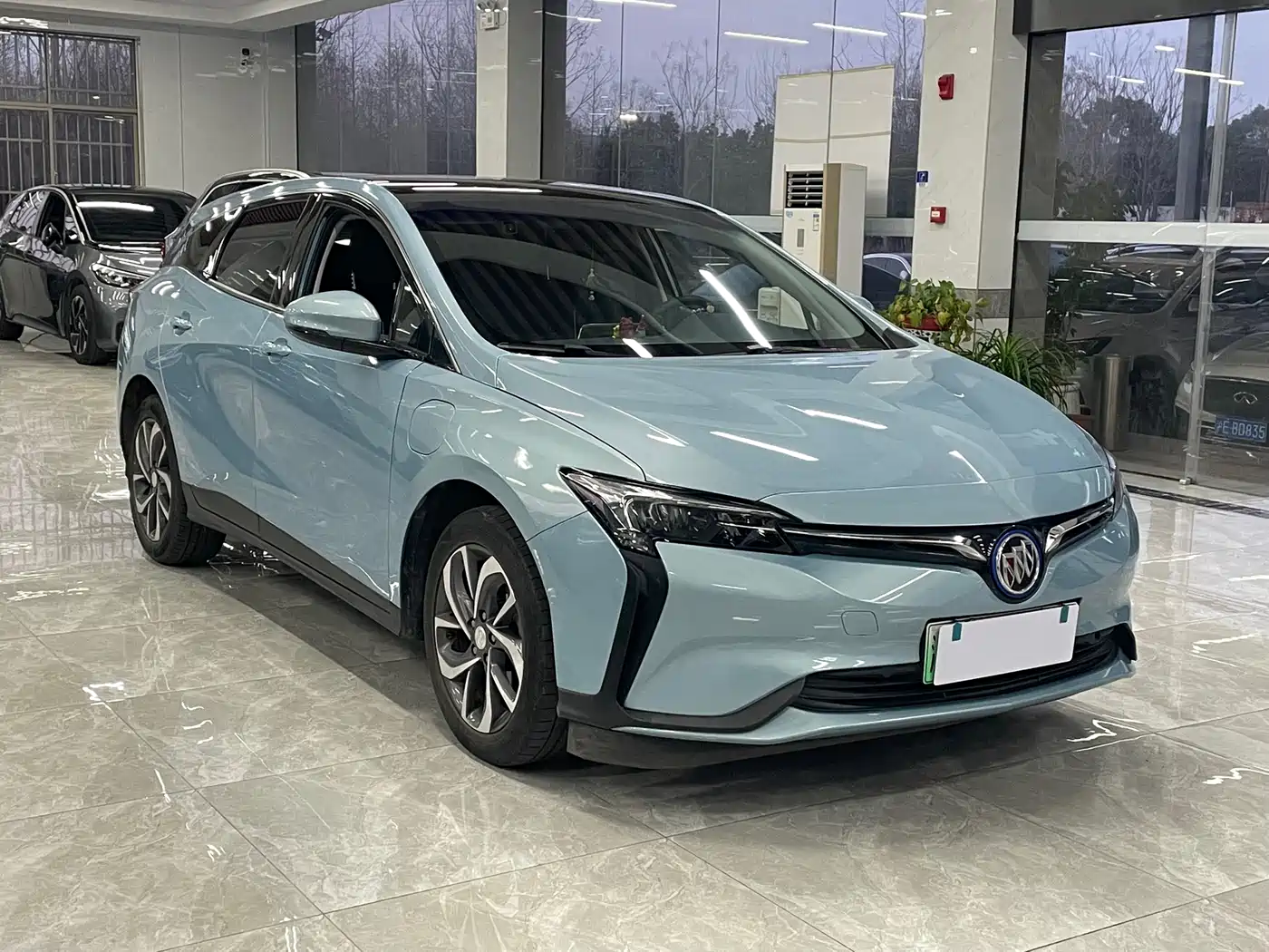 BUICK SLIGHTLY BLUE 6