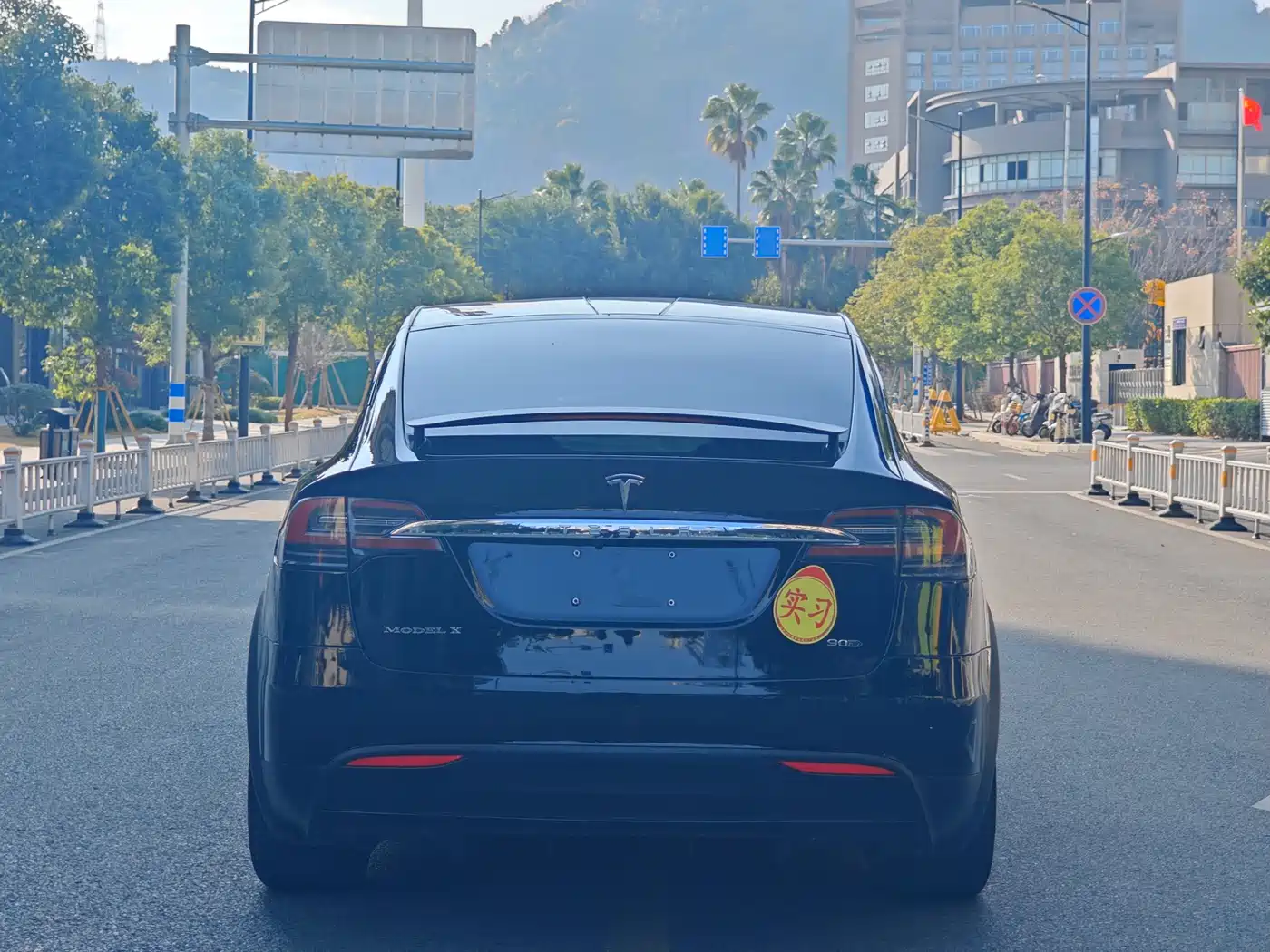 TESLA MODEL X