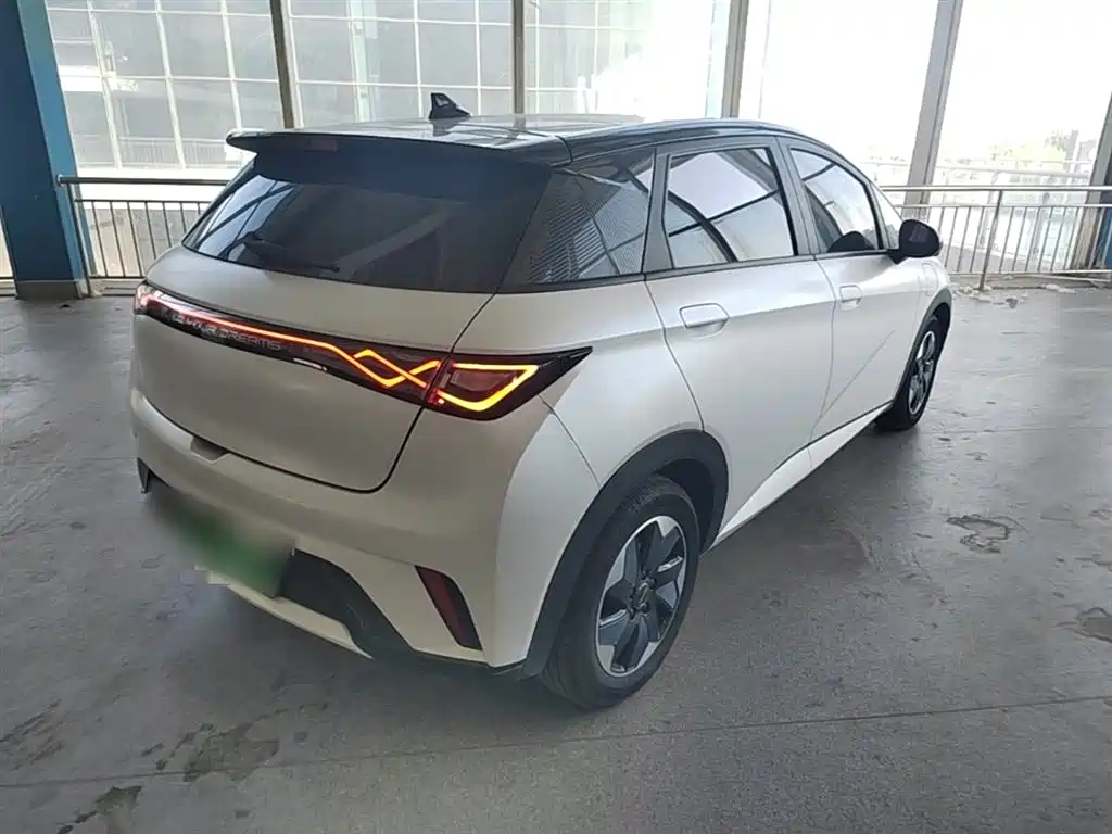 BYD Dolphin 2024 Glory Edition 420km Fashion Edition фото 5