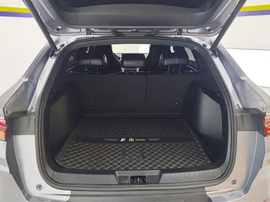 BYD Song PLUS 2020 1.5T Automatic Flagship фото 4