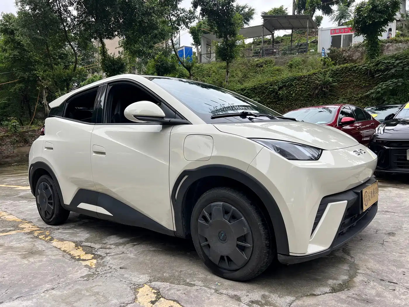 BYD Seagull 2024 Glory Edition 305km Vitality Edition фото 3