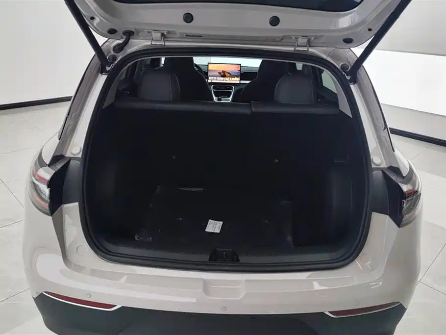 Geely Galaxy Starry Wish 2026 Model 310km Dream Edition фото 4
