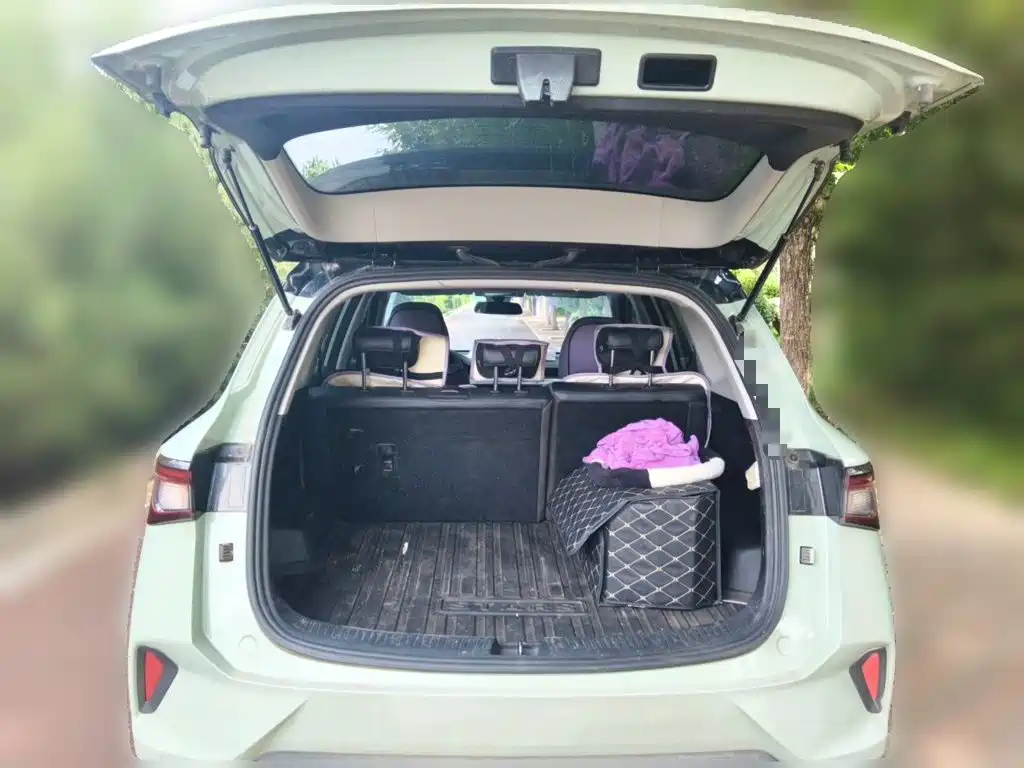 Фото 20 - Wuling Motors Wuling Xingchen