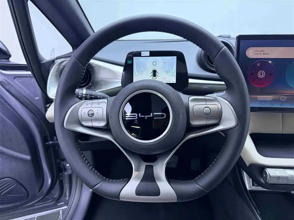 BYD Dolphin 2023 420km Fashion Edition фото 15