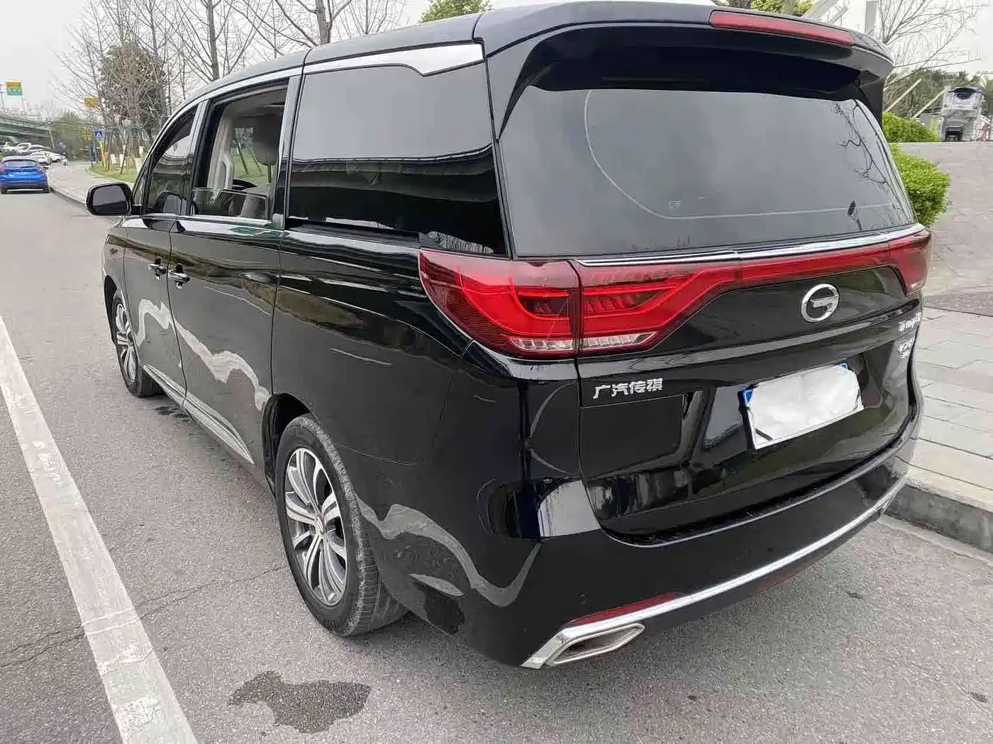 GAC Trumpchi Trumpchi M8 2018 320T Premium Edition фото 16