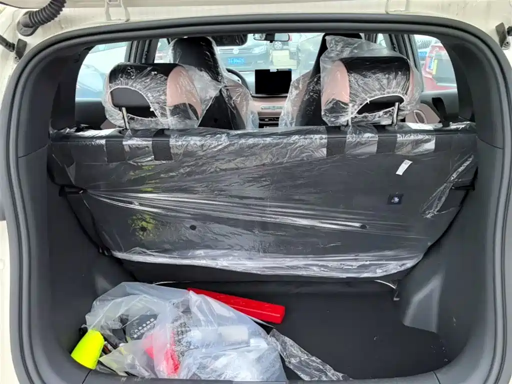 BYD Seagull 2025 Smart Drive Edition 305km Vitality Version фото 19