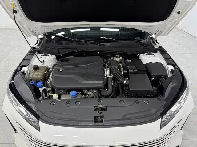 Changan Yida 2023 2023 Blue Whale NE 1.5T GDI DCT Pilot