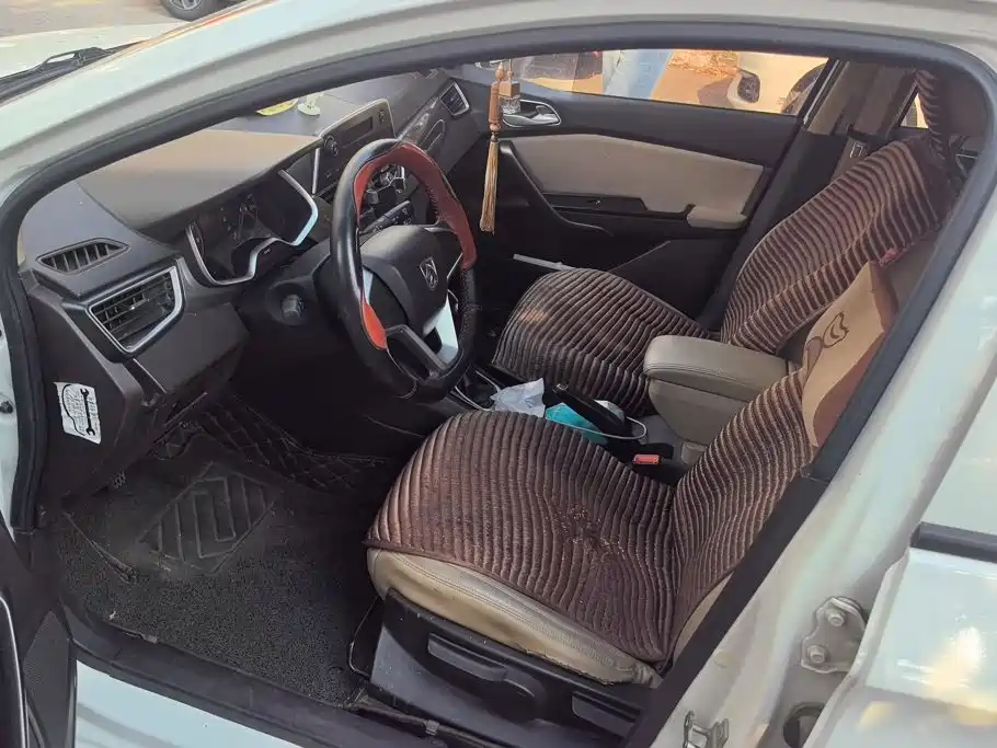 Фото 9 - Baojun 310W