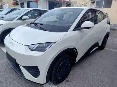 BYD Seagull