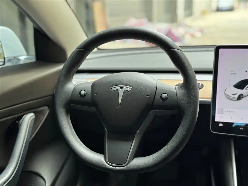 Tesla Model 3 2019 Standard Range Rear-Wheel Drive Upgrade фото 7