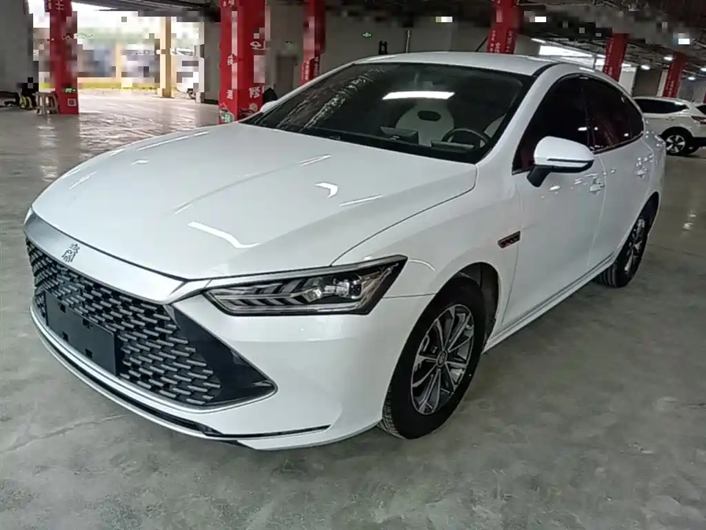 BYD Qin PLUS 2024 Glory Edition DM-i 55KM Leading фото 2