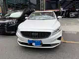 Фото 2 - Geely Borui