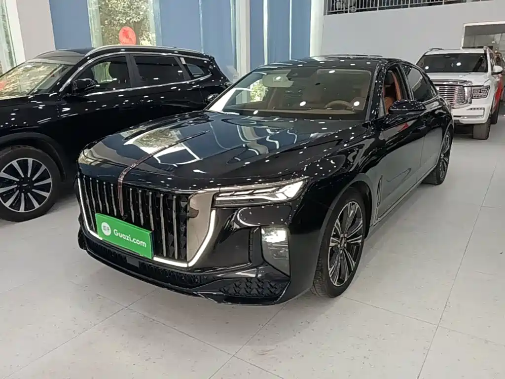 Hongqi Hongqi H9 2024 2.0T Qi Enjoy Private Fashion Edition
