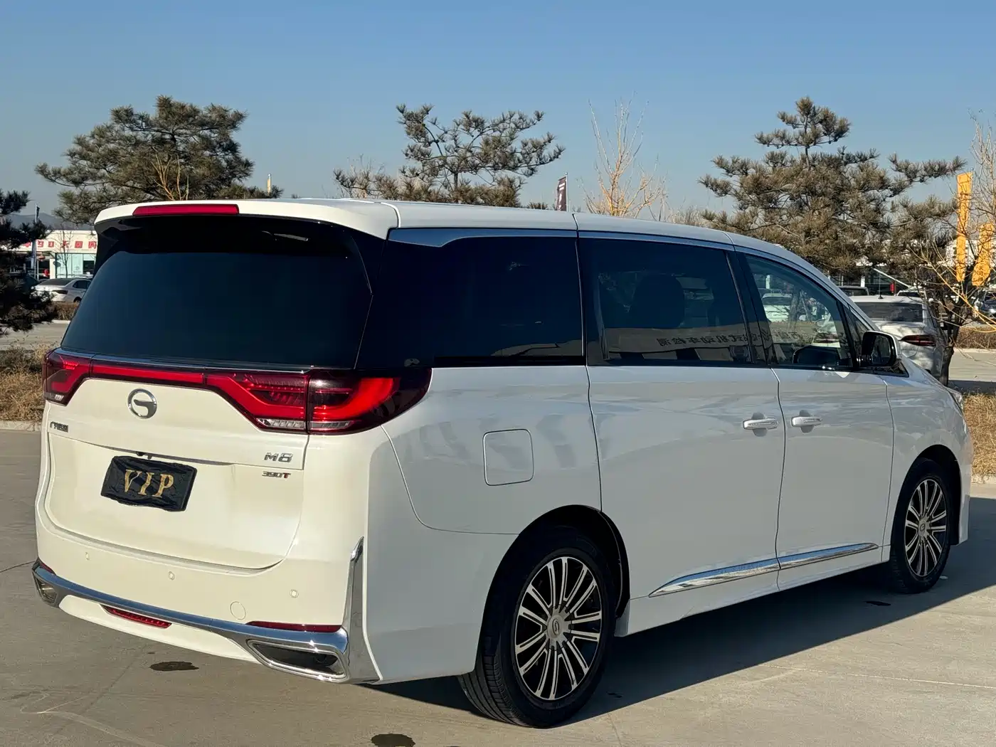 GAC Trumpchi Trumpchi M8 2021 Leading Show Series 390T Ultimate Edition фото 26