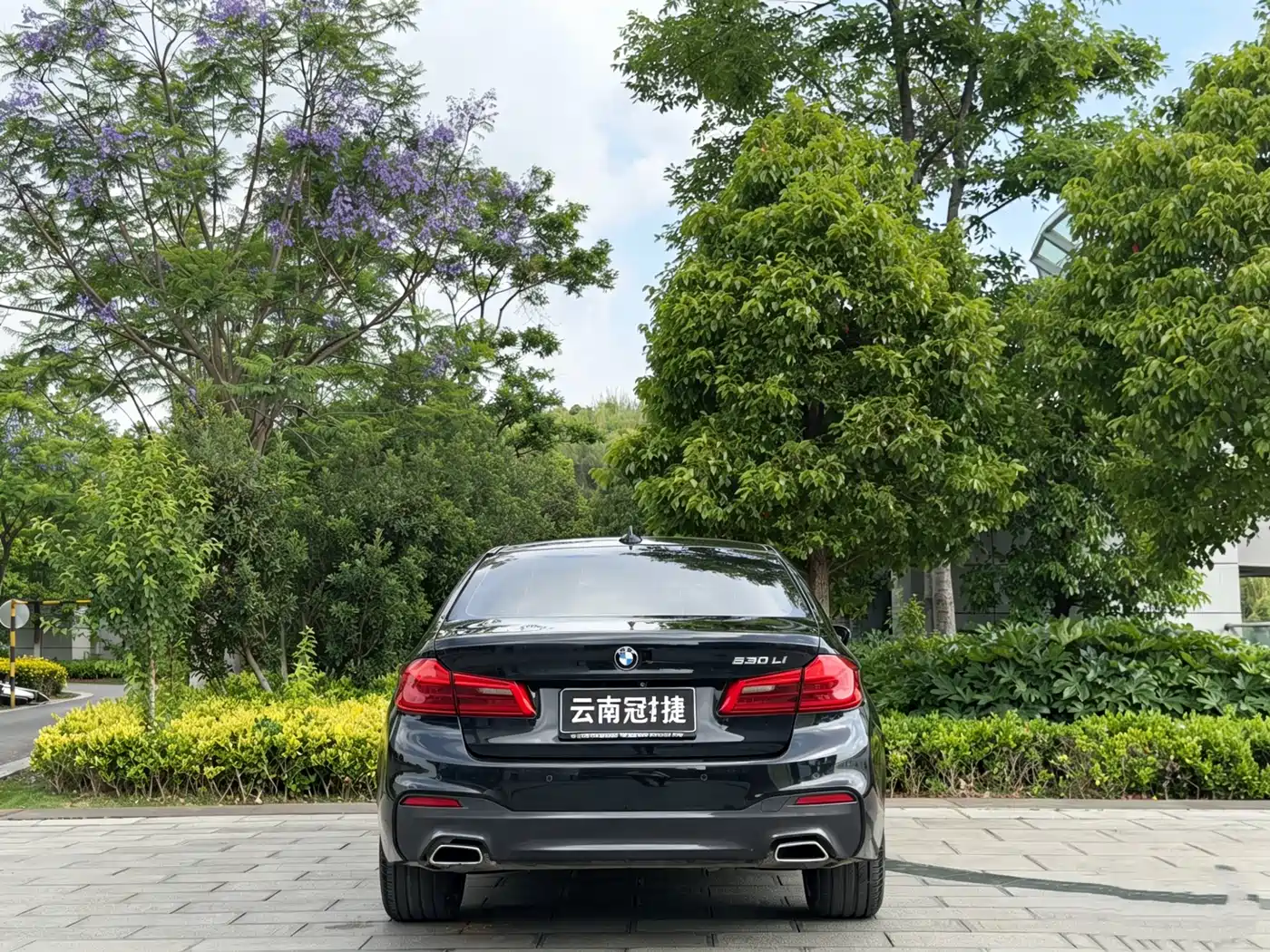 BMW 5 Series 2019 Facelift 530Li Leading M Sport Package фото 8