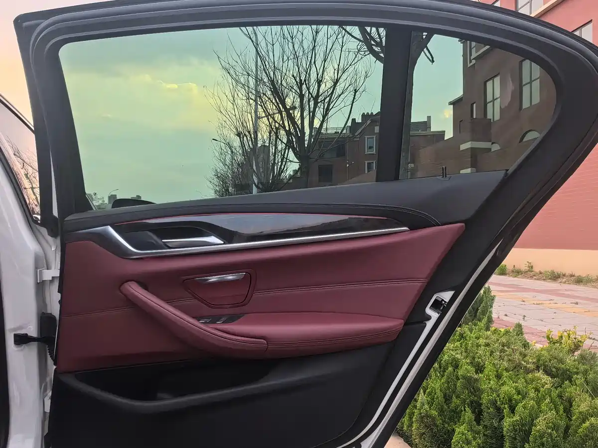 BMW 5 Series 2020 530Li Leading M Sport Package фото 16
