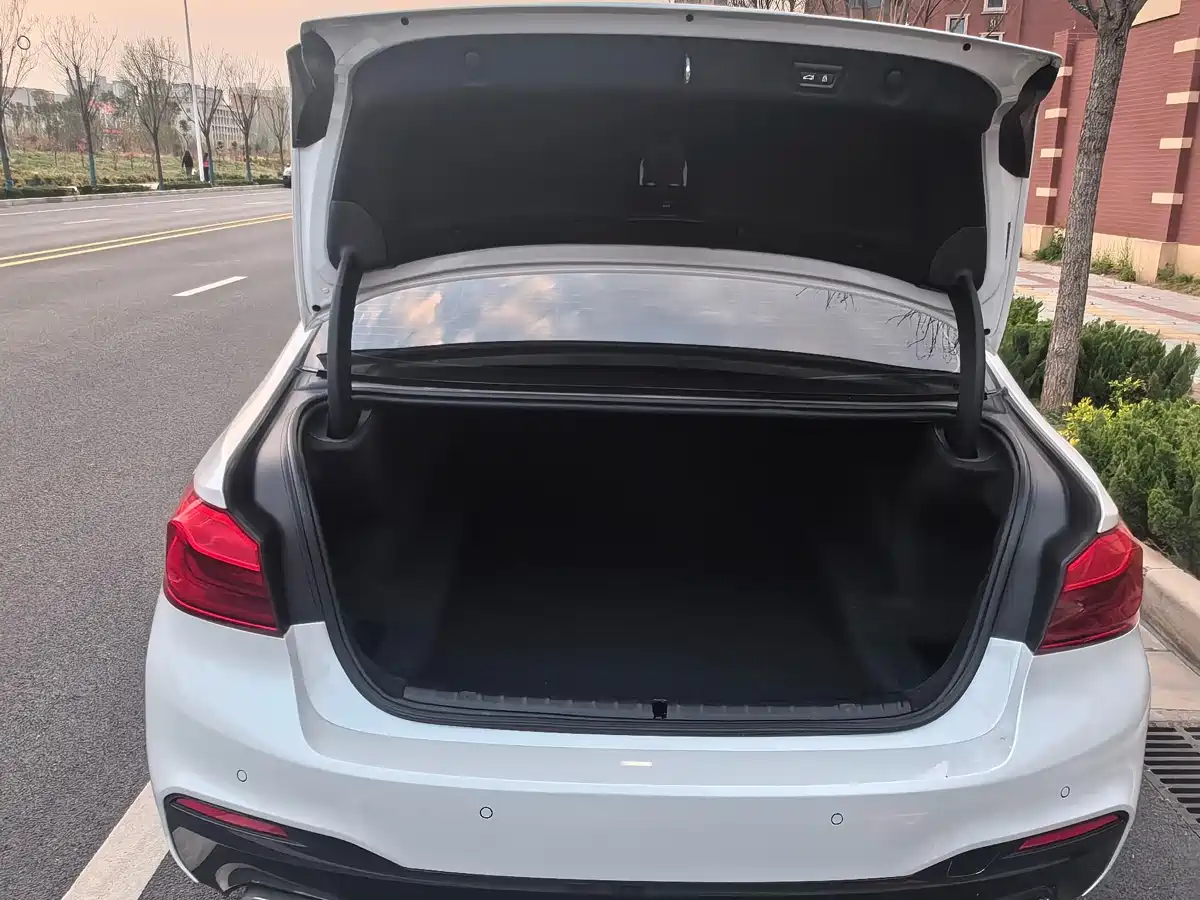 BMW 5 Series 2020 530Li Leading M Sport Package фото 22