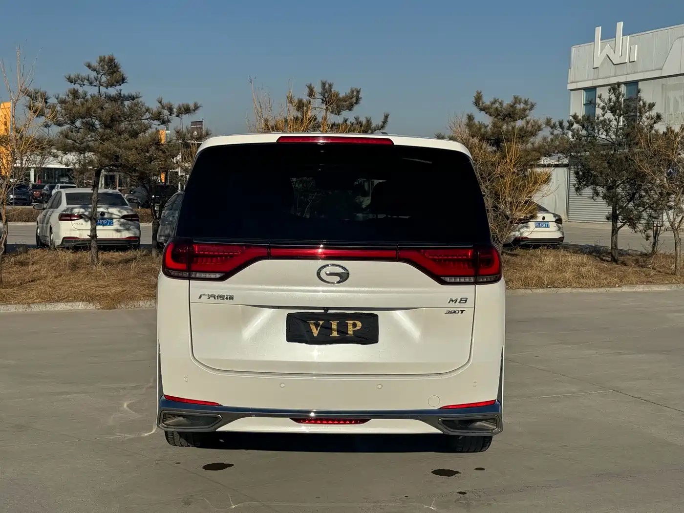 GAC Trumpchi Trumpchi M8 2021 Leading Show Series 390T Ultimate Edition фото 25