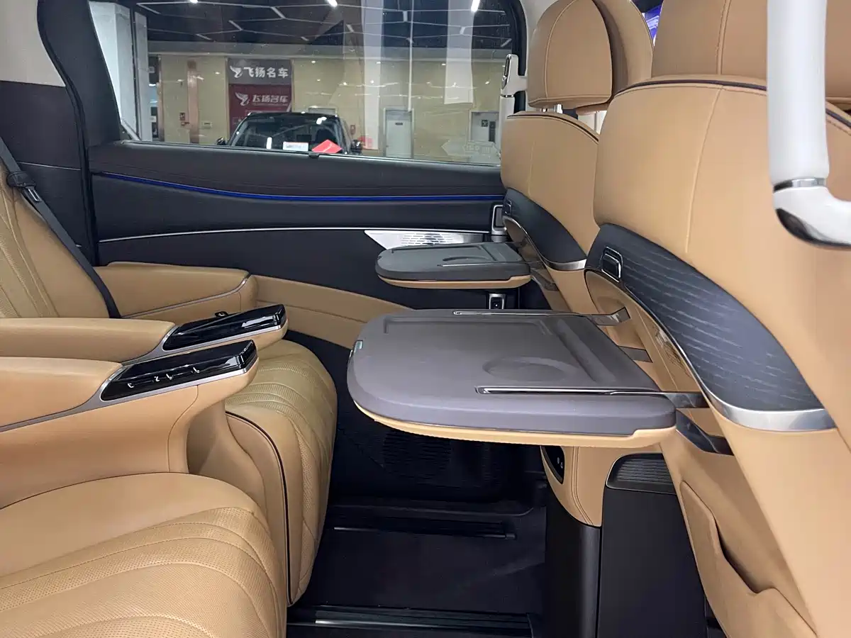 Denza D9 2024 DM-i 980 AWD Prestige фото 12
