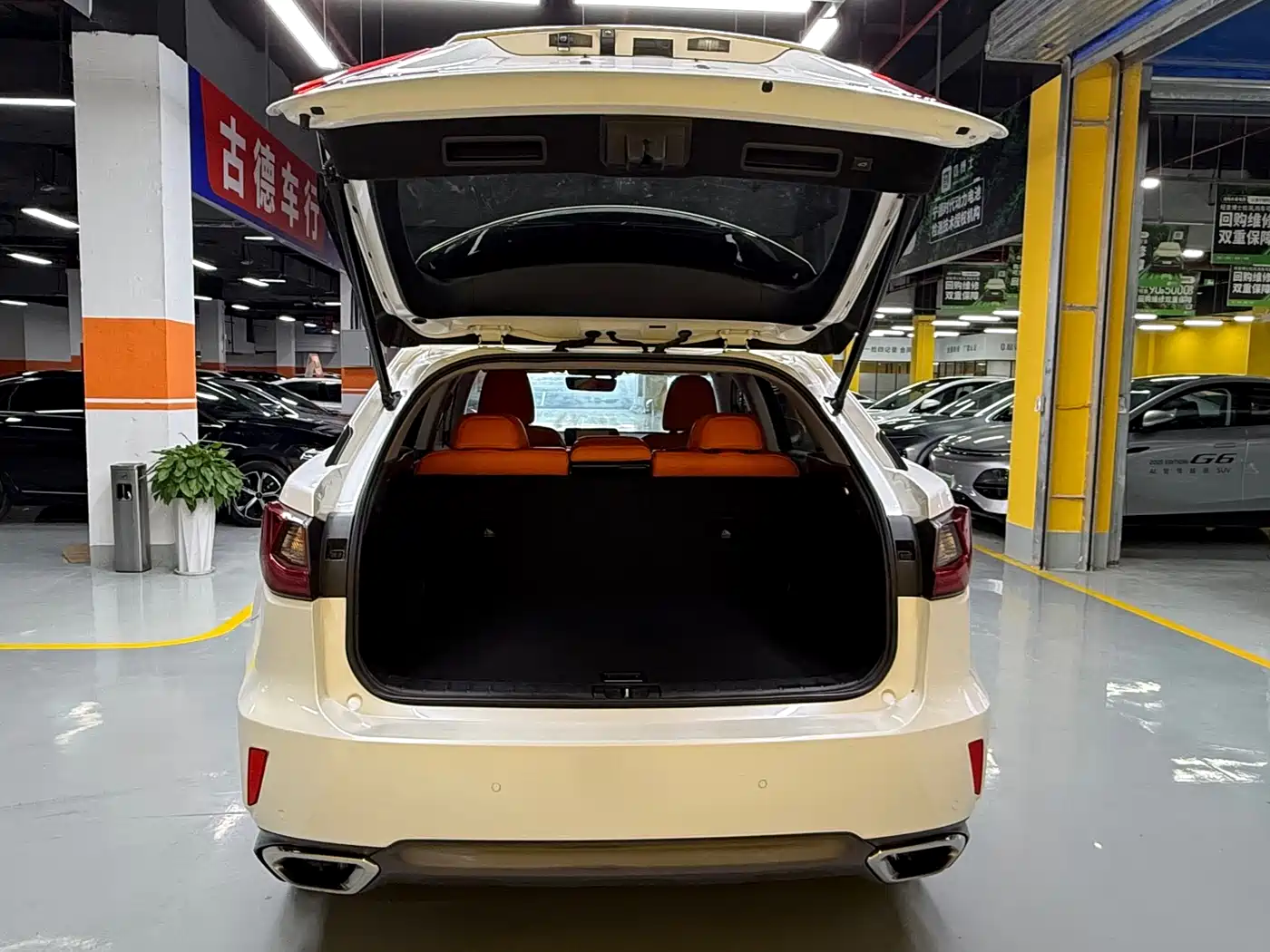 Lexus RX 2016 300 2WD Elite Edition (China V) фото 21