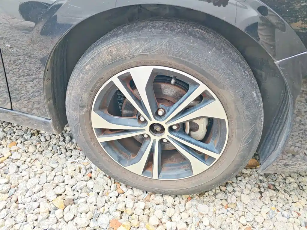 Фото 8 - Nissan Sylphy