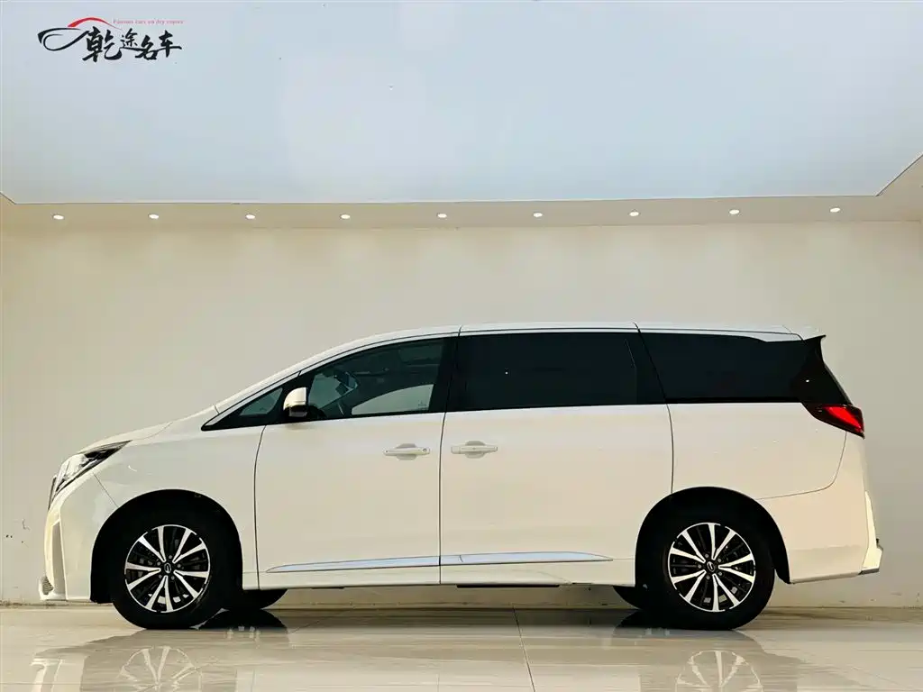 GAC Trumpchi Trumpchi M8 2021 Leading Show Series 390T Premium Edition фото 4