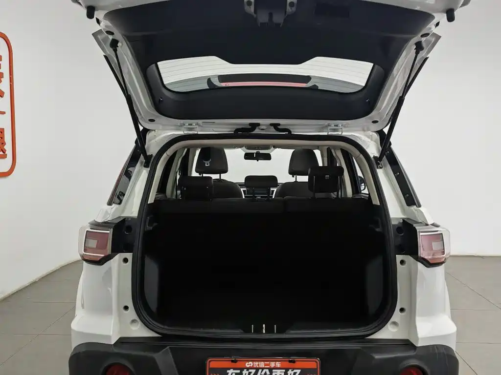 Bisu Auto Bisu T3 2021 2017 1.3T Manual Luxury