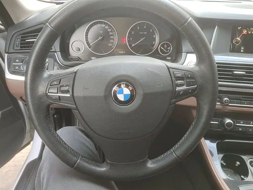 BMW 5 Series (Import) 2015 520i Elegance фото 11