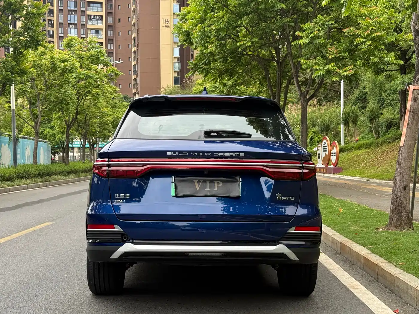 BYD Song Pro New Energy 2023 Champion Edition DM-i 110KM Excellence фото 11