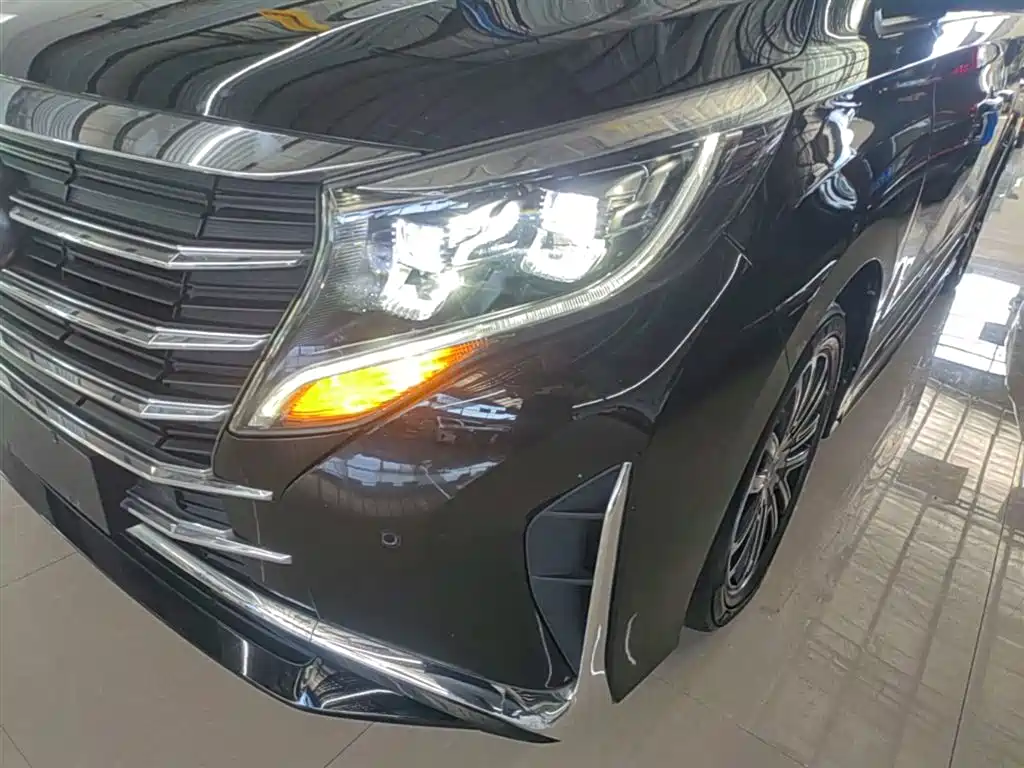GAC Trumpchi Trumpchi M8 2023 Leading Series 390T Prestige Edition фото 24