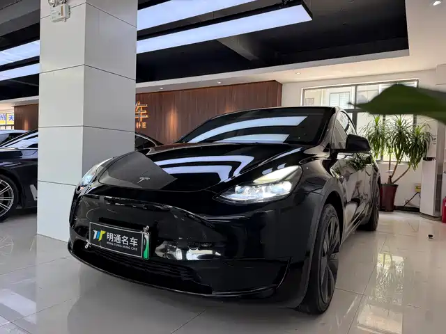 Tesla Model Y Рестайлинг, задний привод