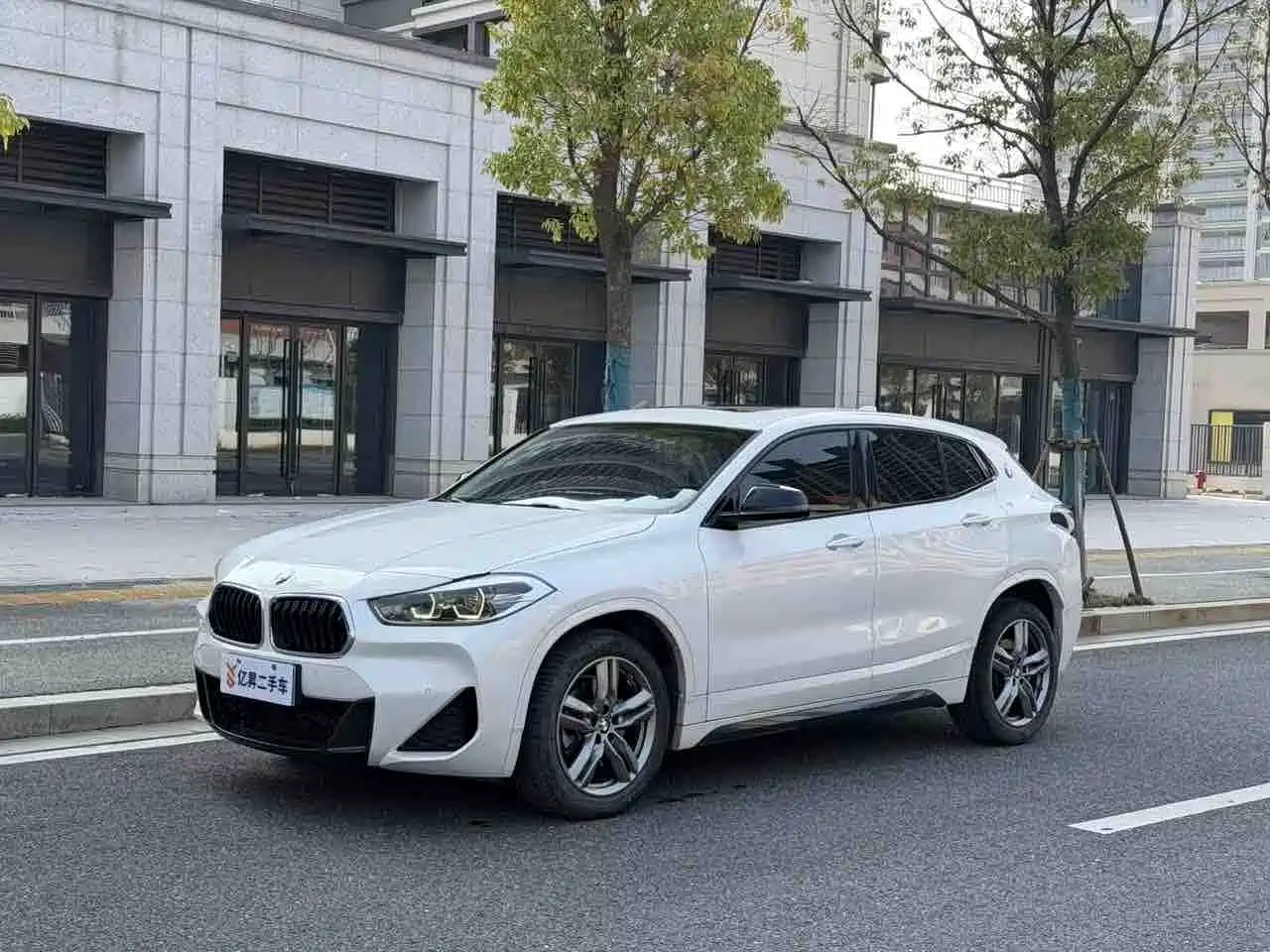 BMW X2
