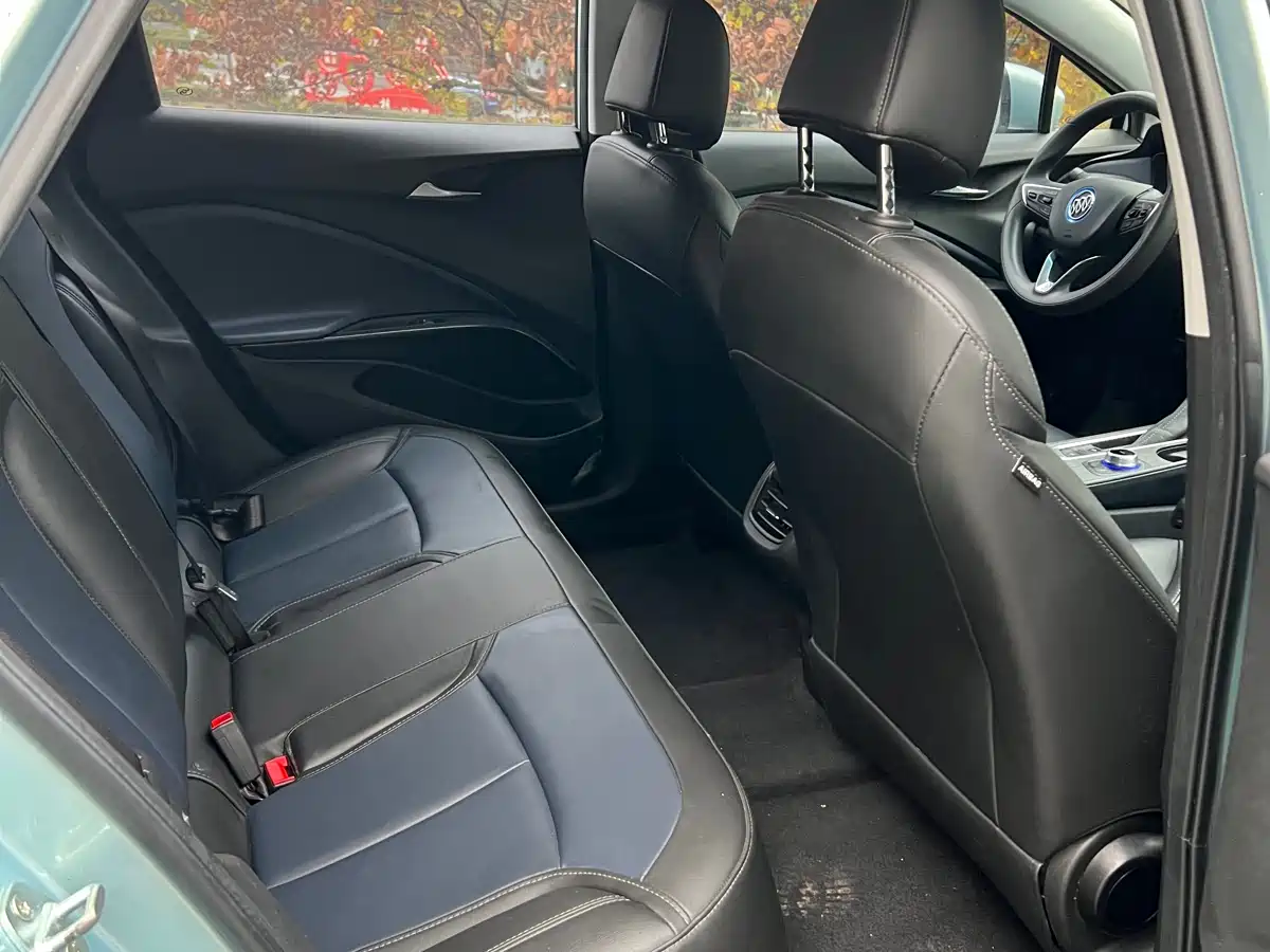 BUICK SLIGHTLY BLUE 6