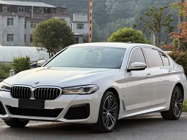 BMW 5 Series 2020 530Li xDrive Luxury Package