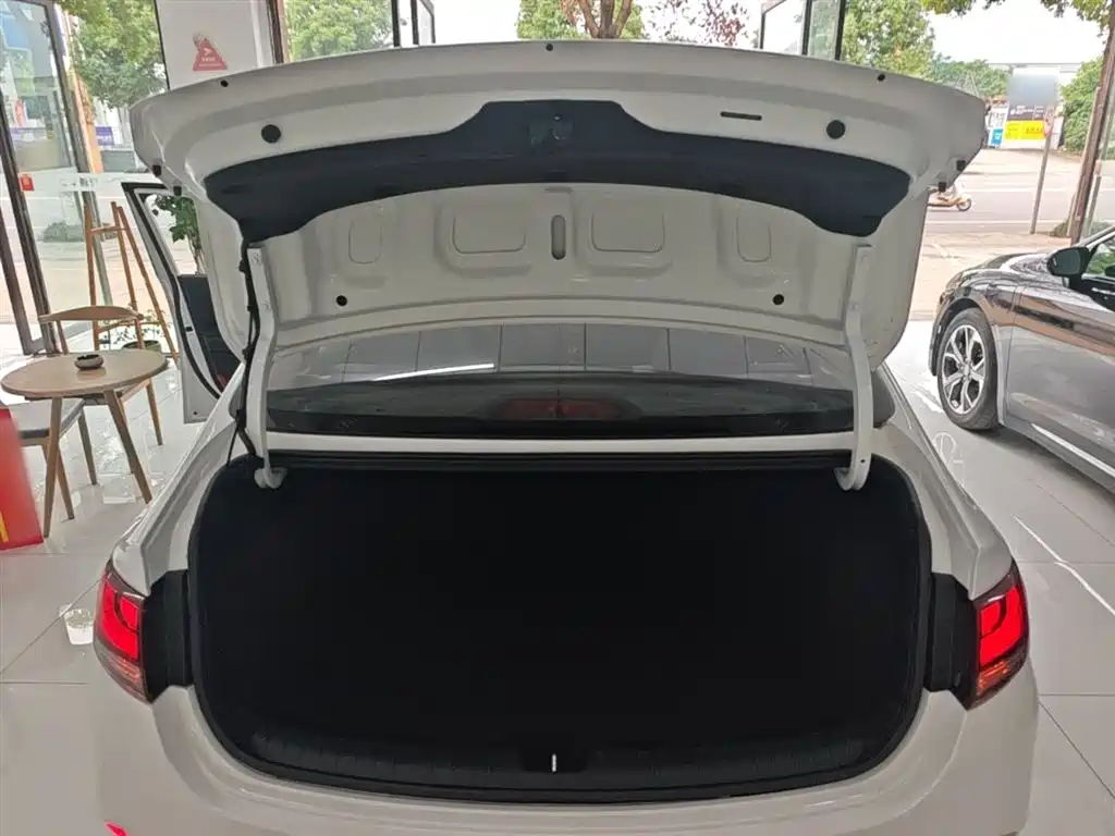 Hyundai Elantra 2020 1.6L Auto GL Pleasing Edition фото 19