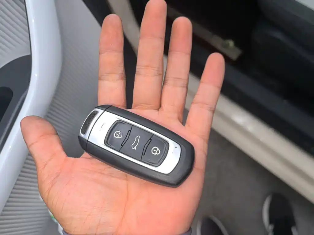 Фото 9 - Geely Galaxy Panda