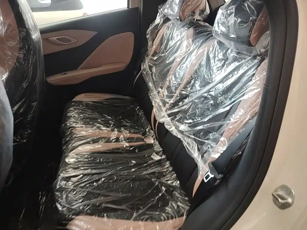 BYD Seagull 2026 2025 Smart Drive Edition 305km Vitality Version