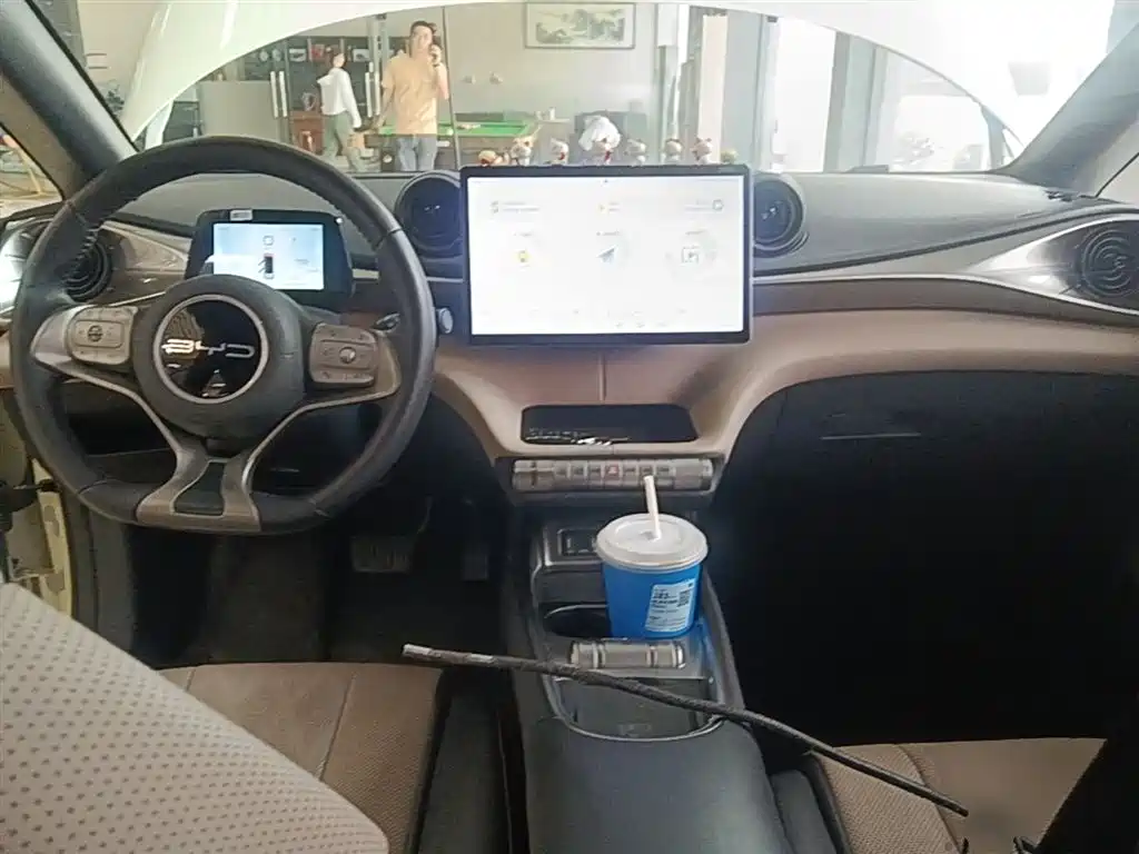 BYD Dolphin 2023 420km Fashion Edition фото 10
