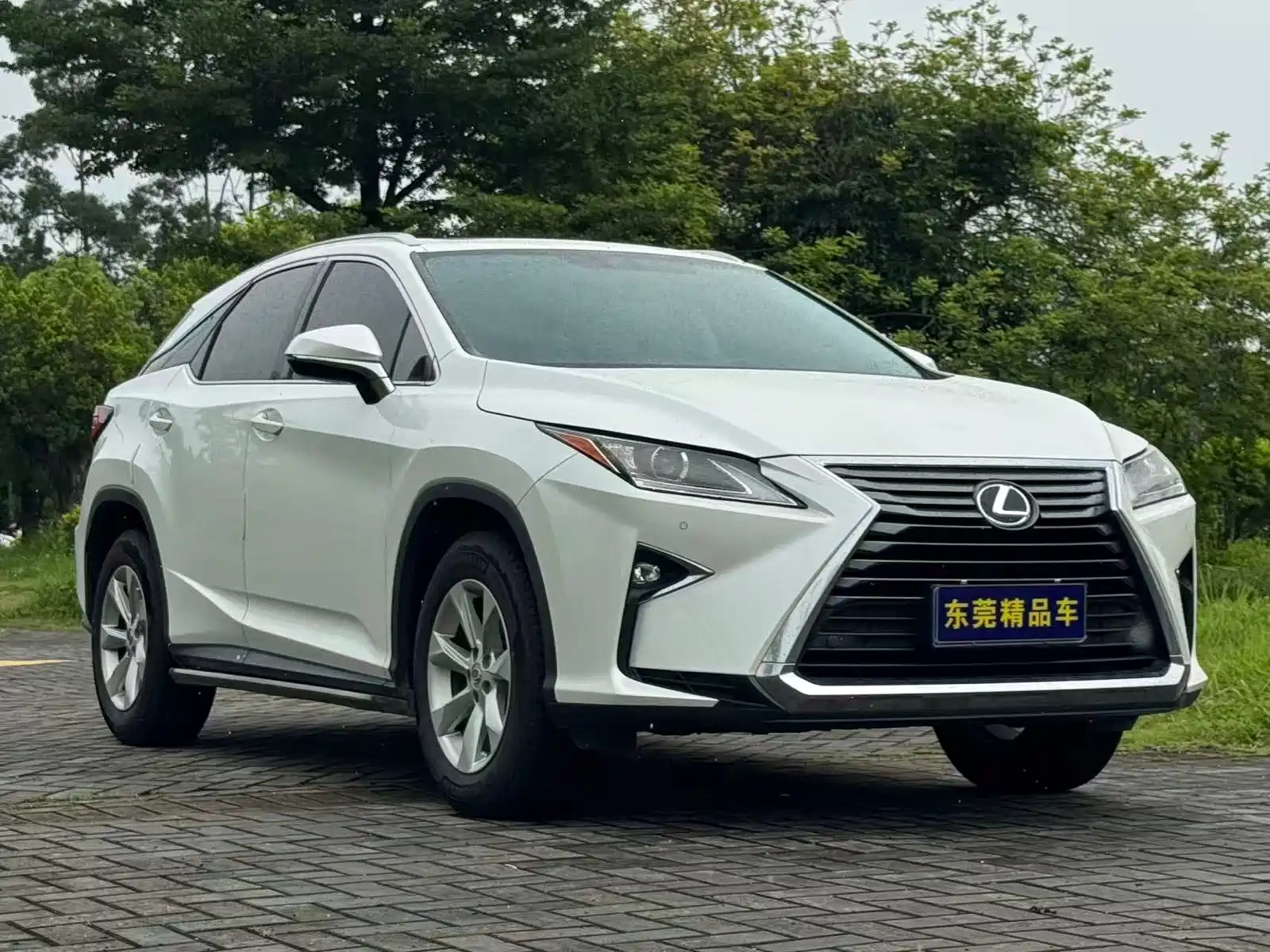 Photo 3 - Lexus RX