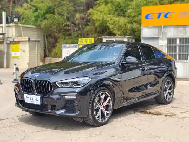 BMW X6 2020 xDrive40i M Sport Package