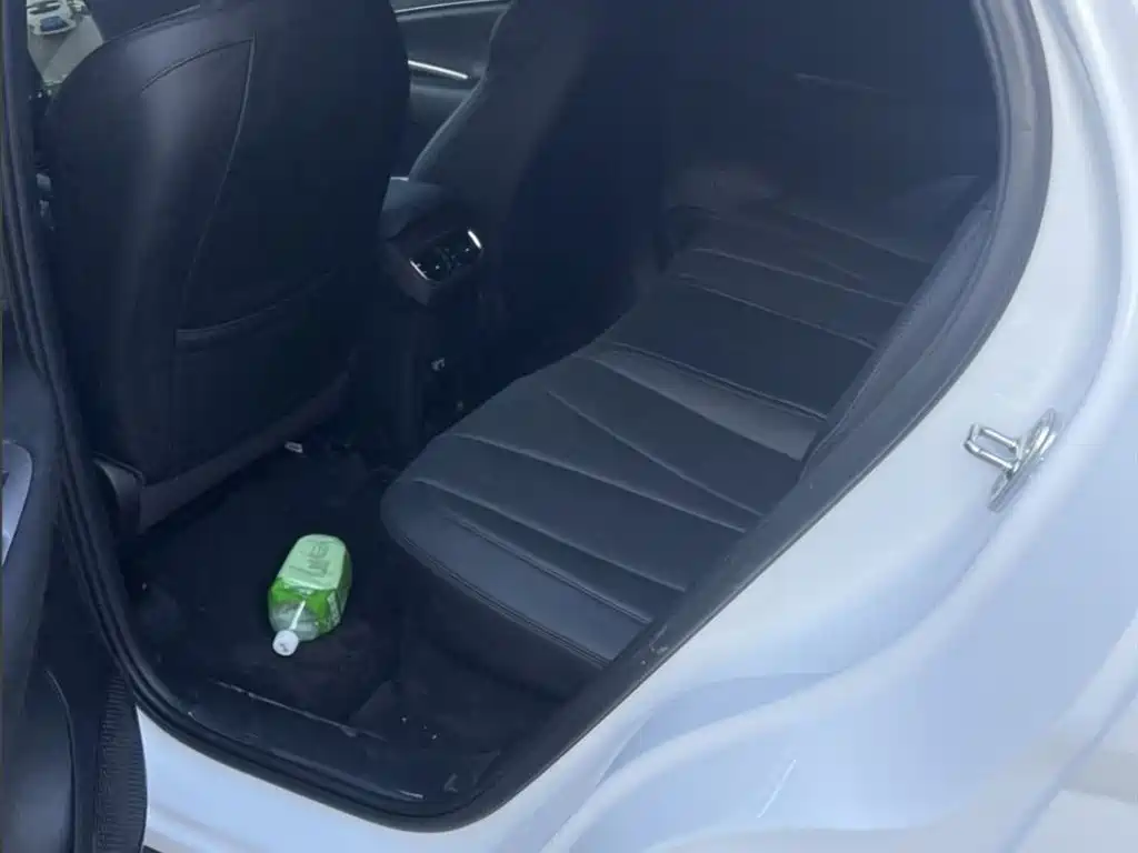 BYD Sealion 06 New Energy 2025 EV 605 Pilot Pro Edition фото 13