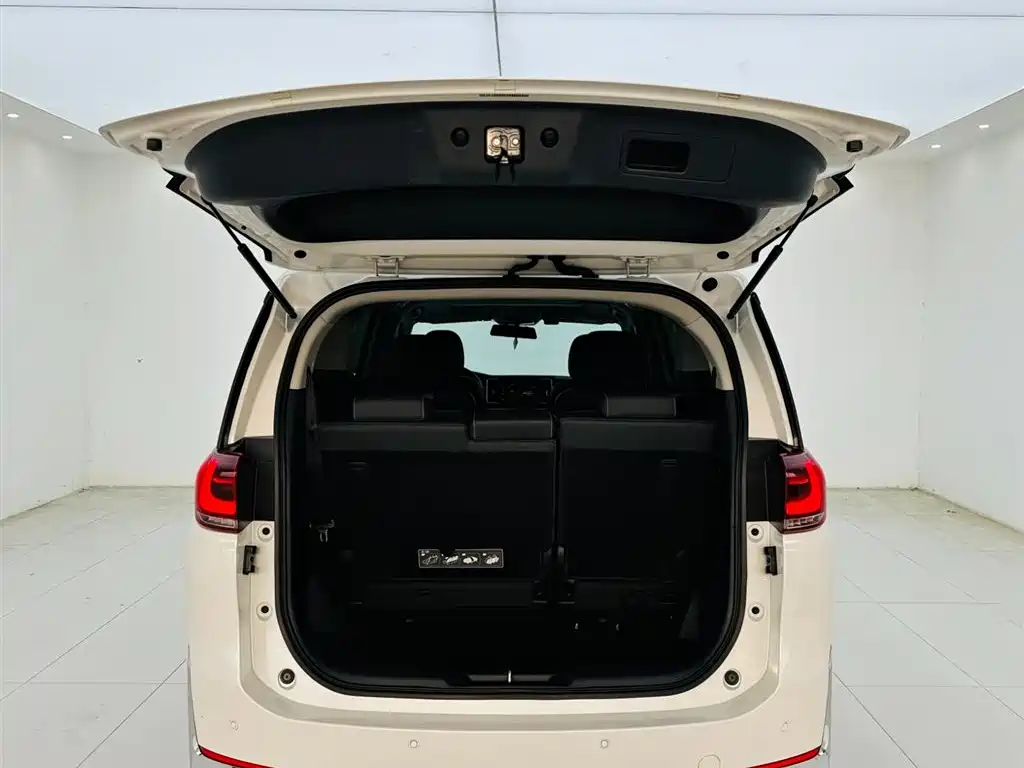 GAC Trumpchi Trumpchi M8 2021 Leading Show Series 390T Premium Edition фото 23