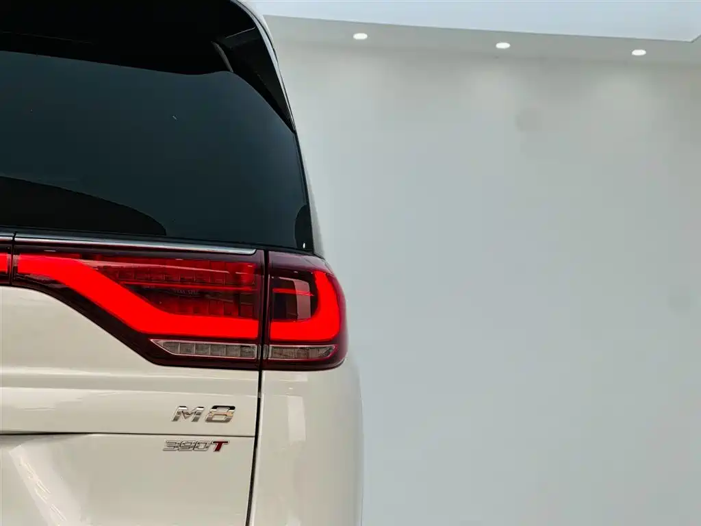 GAC Trumpchi Trumpchi M8 2021 Leading Show Series 390T Premium Edition фото 11