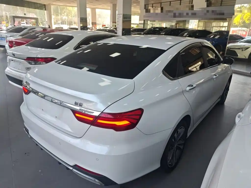 Фото 5 - Geely Binrui