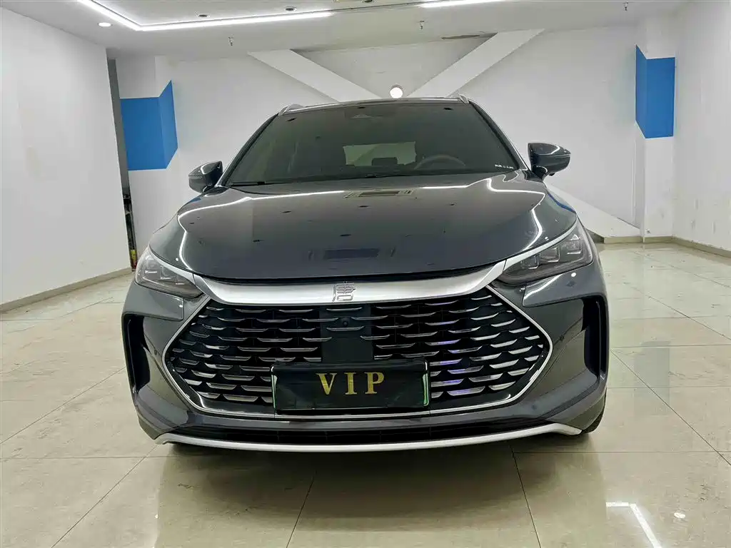 BYD Tang New Energy 2025 DM-i 115KM Prestige Type фото 3