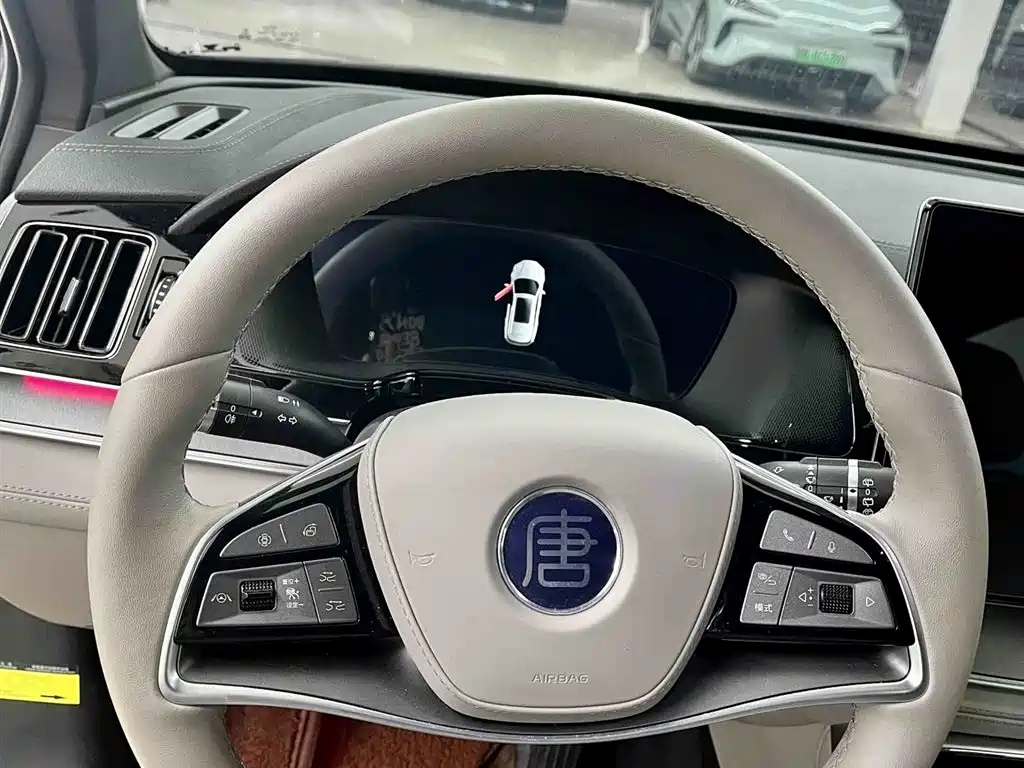 BYD Tang New Energy 2025 DM-i 115KM Prestige Type фото 12
