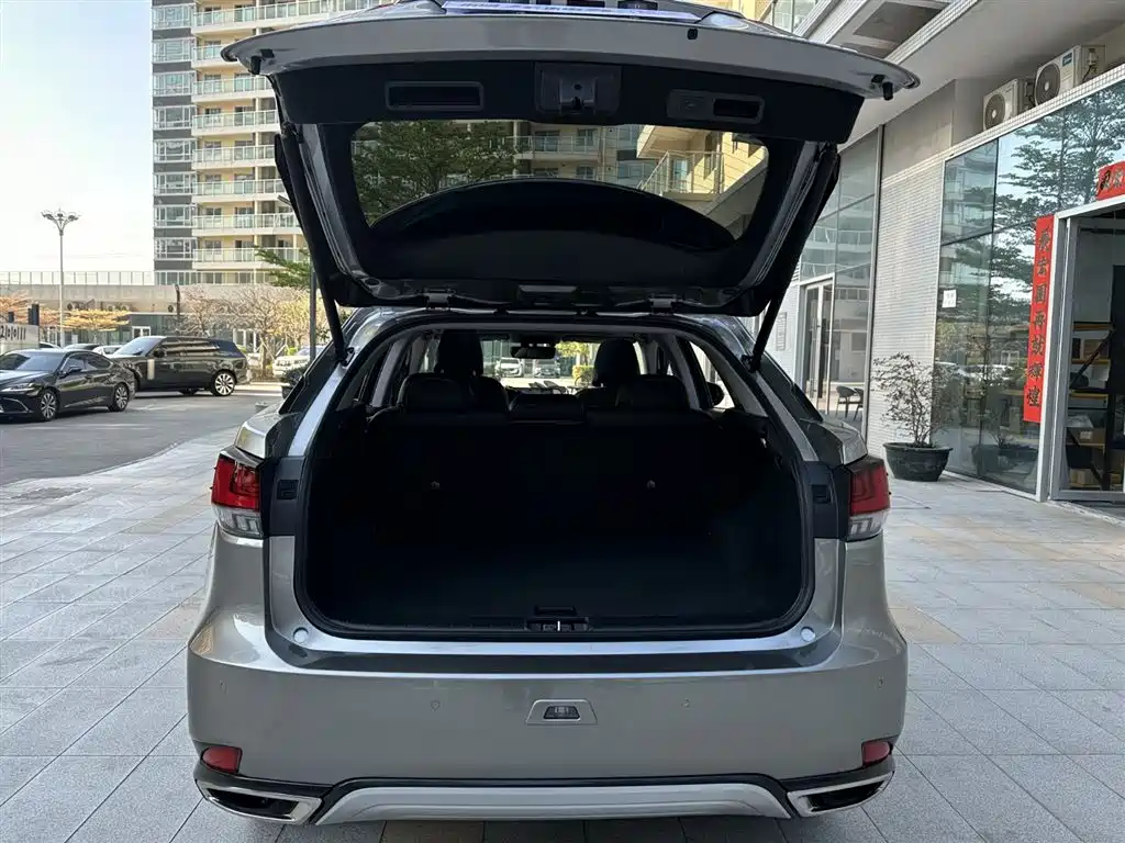 Lexus RX 2020 Facelift 300 2WD Elite Edition фото 23