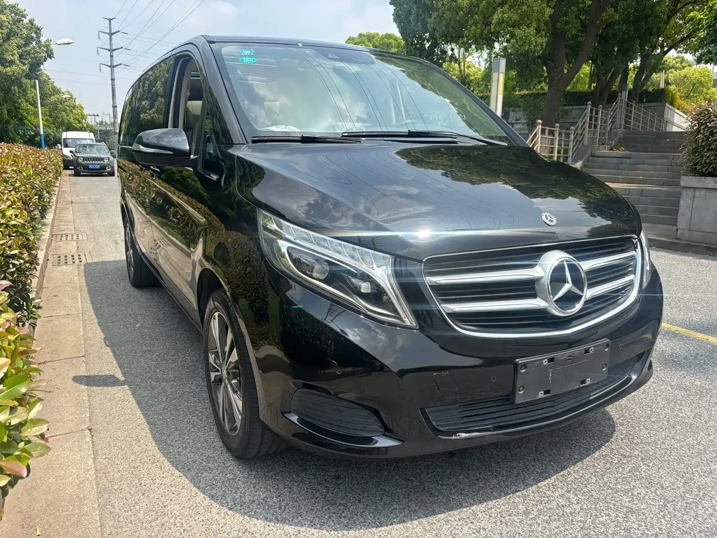 Mercedes-Benz V-Class 2018 V 260 Pilot Edition China V фото 3