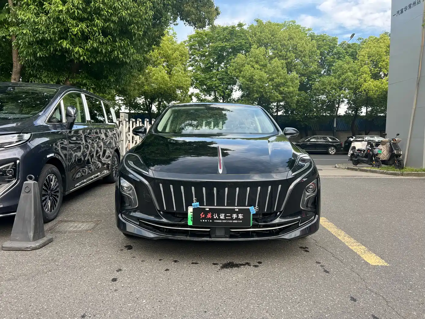 Hongqi E-QM5 2024 Model 450km Travel Edition фото 3