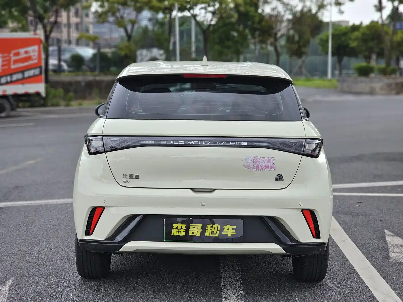 BYD Dolphin 2021 405km Freedom Edition фото 6